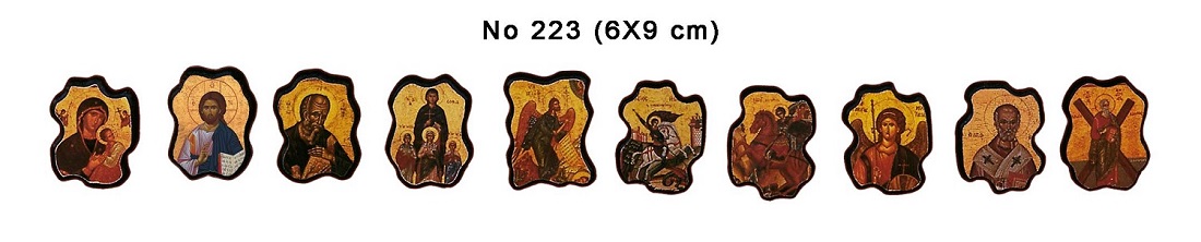 223 image